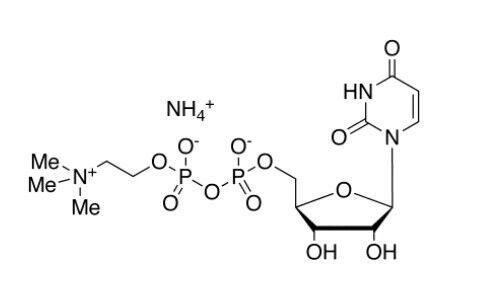 尿苷二磷酸胆碱（UDPC）铵盐